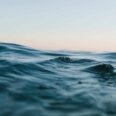 about_wave-2