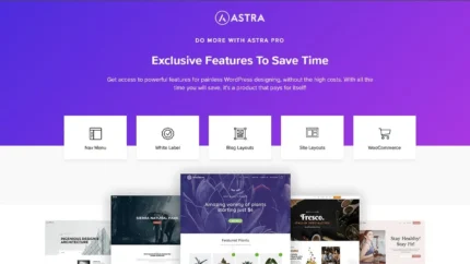 Astra Pro Addon For Astra Theme | Original License