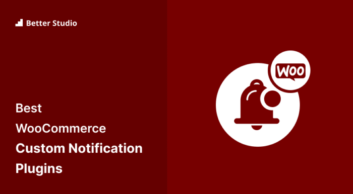 Best_WooCommerce_Custom_Notification_Plugins