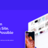Phlox-Pro-Review