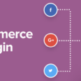WooCommerceSocialLogin-1