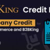 b2bkingcreditbanner