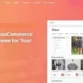 dokan-ecommerce-theme-59-1605521006