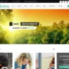 lifeline-charity-wordpress-theme-768x589